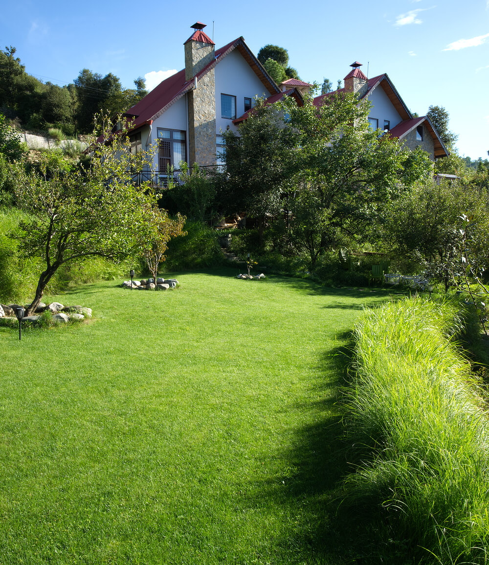 Lawn in front of the cottages